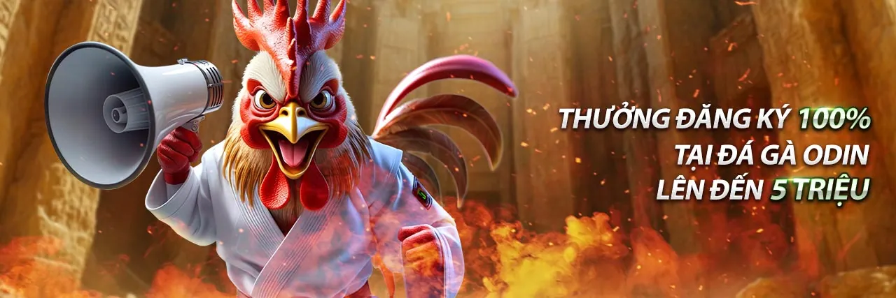 Hình ảnh giới thiệu 88b link vào, nền tảng cá cược trực tuyến hàng đầu